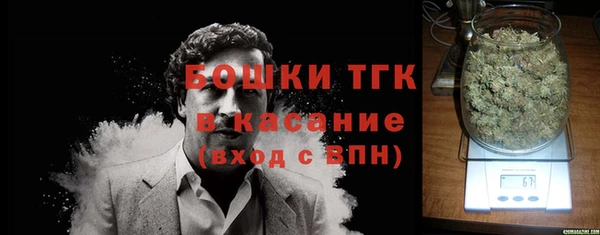 амф Верея