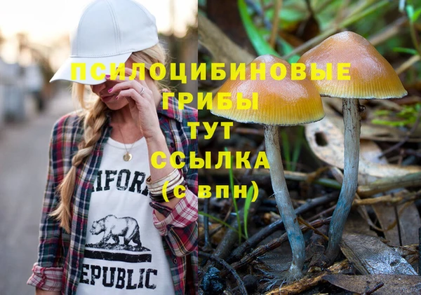 амф Верея