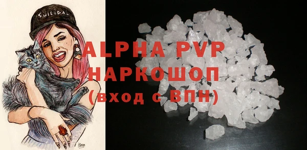 амф Верея