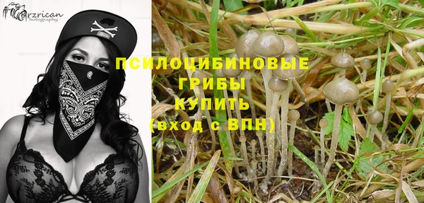 гашик Верхний Тагил