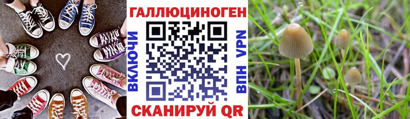 Псилоцибиновые грибы мухоморы  Купить закладки  Черногорск 